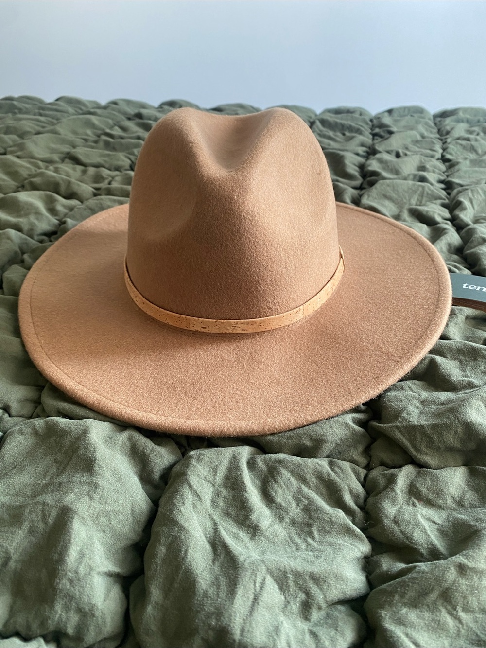 tentree Tan Wide-Brim Felt Fedora with Cork Band